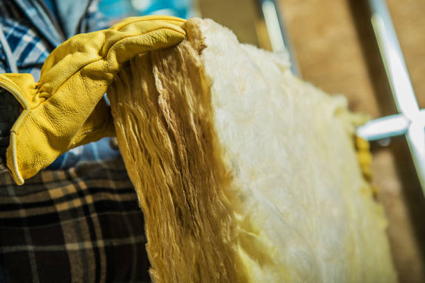 Best Geographic-Specific Insulation Services in Watertown, MN